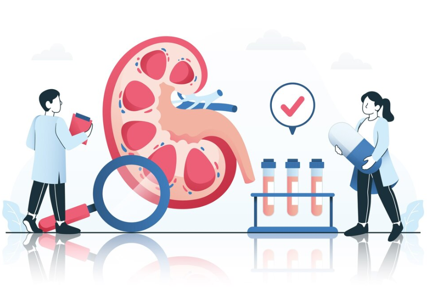 Kidney Specialist in Sarjapur Road