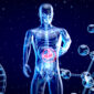 abstract motion design stomach 85x85